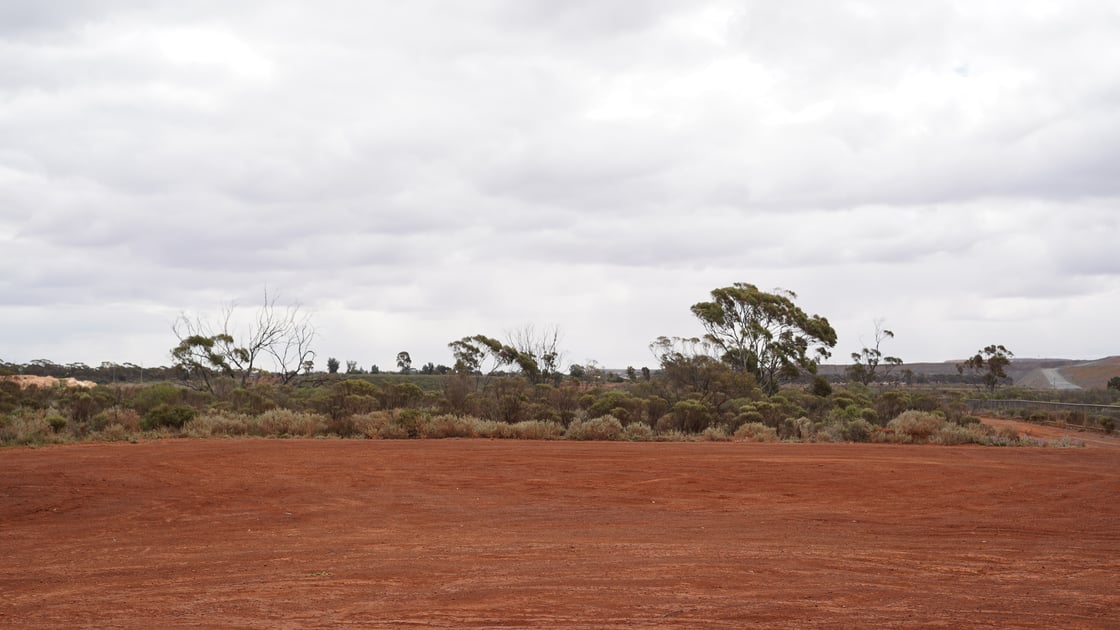 Kalgoorlie roadside. Credit Natalie de Rozario